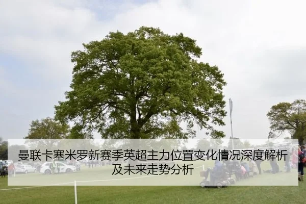 man-lian-ka-sai-mi-luo-xin-sai-ji-ying-chao-zhu-li-wei-zhi-bian-hua-qing-kuang-shen-du-jie-xi-ji-wei-lai-zou-shi-fen-xi-2-434.jpg